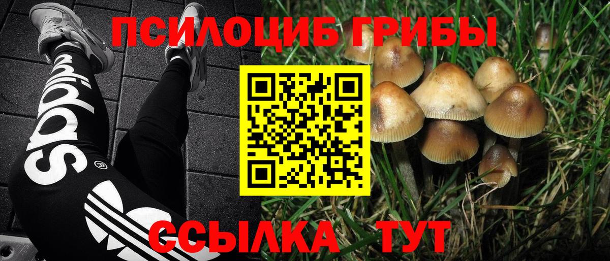 Кубинка  Галлюциногенные грибы GOLDEN TEACHER  закладки  Галлюциногенные грибы Psilocybe  Вход с VPN 